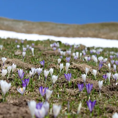 Laresch Hotel Mathon